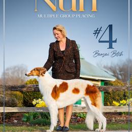Nun - Borzoi