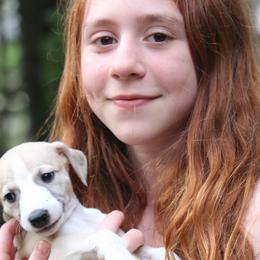 Whippet Puppies from Wise Heart Whippets