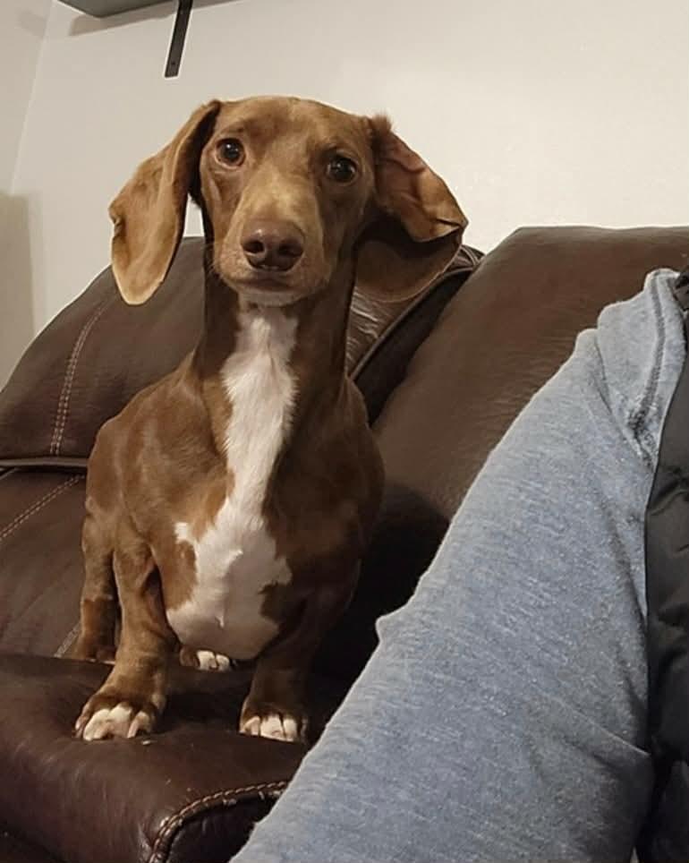 Snoop