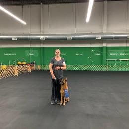 Jewels - German Shepherd