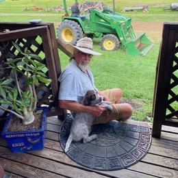 Wirehaired Pointing Griffon All Grown Up from Luther Smith