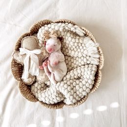 Star - Parti female Goldendoodle puppy in Chesapeake, Virginia from Heart to Heart Doodles