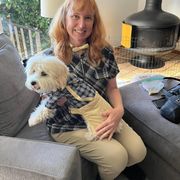 Shichon All Grown Up from Loving Paws Teddy Bear Patch