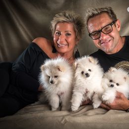 Pomeranian Puppies from Kouture Pomeranians