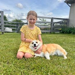 Tinker Bell - Red female Pembroke Welsh Corgi puppy in Urbana, Ohio from Edgewood Farm and Kennel