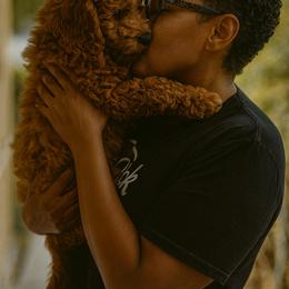 Goldendoodle Puppies from Kid's Best Doodle