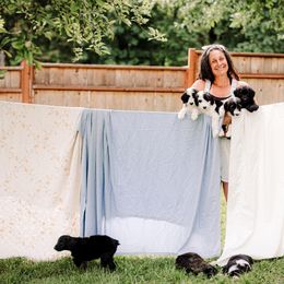 Sheepadoodle Puppies from Life Unleashed Farm