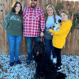 Aussiedoodle, Bernedoodle, Poodle, Shihpoo, and Shih Tzu Puppies from Route 66 Poodles & Doodles, Sapphire Shih-tzu's of Ohio