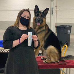 Ace - German Shepherd