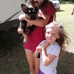 French Bulldog Puppies from Sproull's Fabulous French Bulldogs of Howell of Michigan