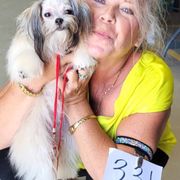 Mi-Kis and West Highland White Terriers from Carrot Tails LLC