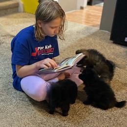 German Spitz Puppies from Legacy Kennels Michigan