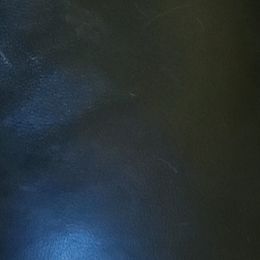 Cavalier King Charles Spaniels, Cavatzus, Shih Tzus, and Toy Australian Shepherds from Kelly Hendrix's Cavalier King Charles Spaniels & Toy Australian Shepherds