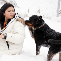 Rottweiler and Shetland Sheepdog Puppies from Mountain High Kennels