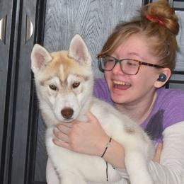 Siberian Husky puppies from Echoing Wind siberians