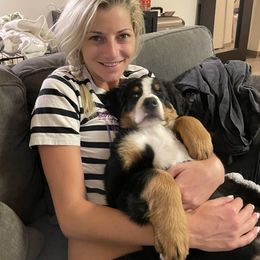 Bernese Mountain Dog Puppies from Lonesome Pine Farm