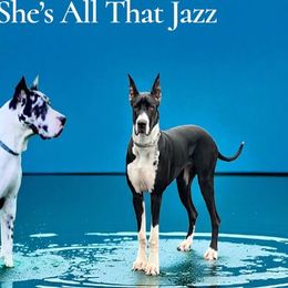 Great Danes from Gresko Danes