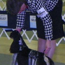 Cocker Spaniels and German Shepherds from Emerald Cockers/Frog Valley K9's LLC