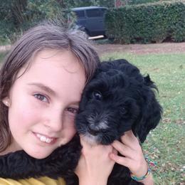 Sparkler - Black and white female Bernedoodle puppy in Woodland, Georgia from Bethel Doodle Ranch