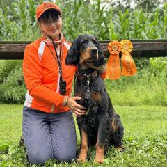 Gordon Setter All Grown Up from Sun-sett Gordon Setters