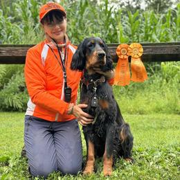 Gordon Setter All Grown Up from Sun-sett Gordon Setters