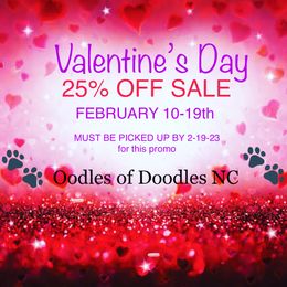 Girl 4 - Parti Goldendoodle puppy in New Bern, North Carolina from Oodles of Doodles