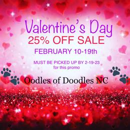 Girl 4 - Parti Goldendoodle puppy in New Bern, North Carolina from Oodles of Doodles