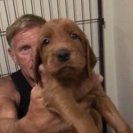 YellowGirl - Mahogany female Irish Setter puppy in Longview, Washington from Royal Redheads Irish Setters
