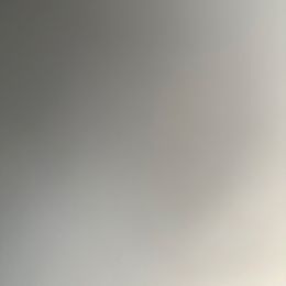 Noel - Fawn female French Bulldog puppy in Loganville, Georgia from Diamond In The Ruff