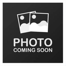 Pending - Red female Dachshund puppy in Red Bud, Illinois from Midwest Miniature Dachshunds