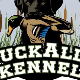 Labrador Retrievers from DuckAlly Kennel