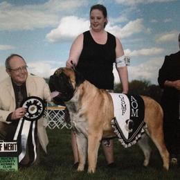 French Bulldog and Mastiff All Grown Up from Stonehaven Mastiffs and French Bull dogs