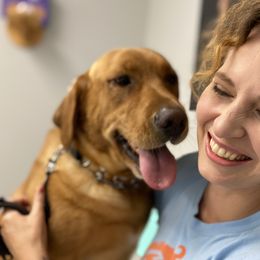 Cinnamon - Labrador Retriever