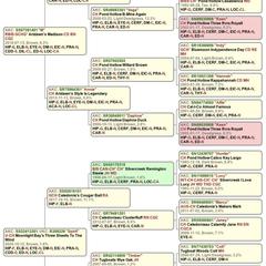 Chesapeake Bay Retriever puppies from Elm Creek Kennel