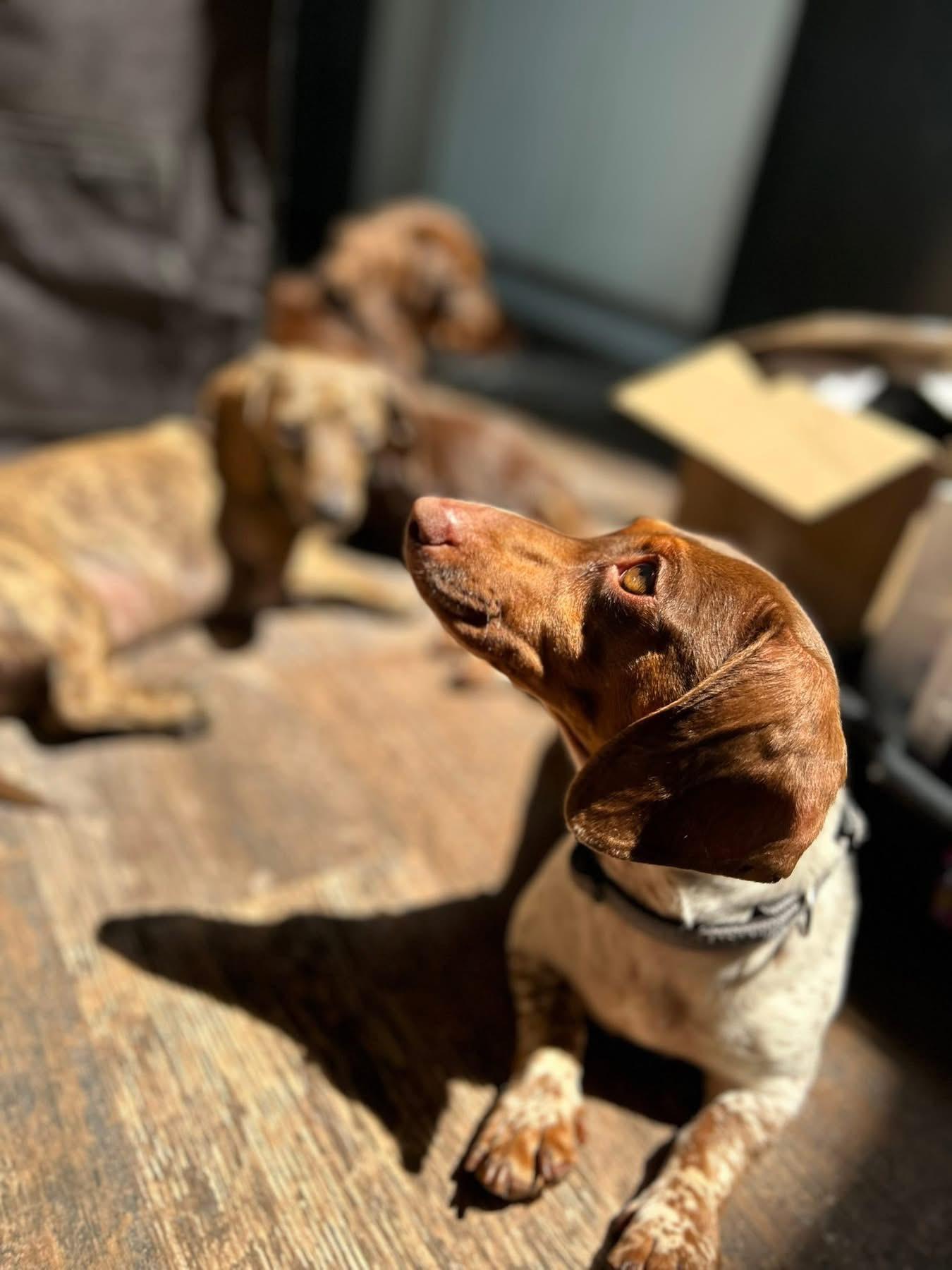 Chloe