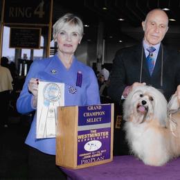 Walker  - Havanese