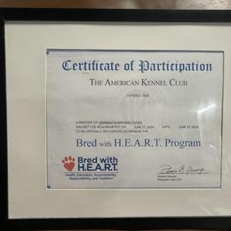 German Shepherd Puppies from Golden Ridge