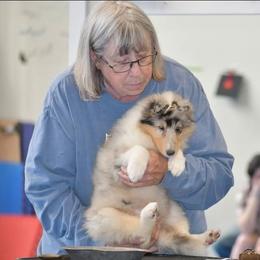 Collie and Poodle Puppies from Los Arteagas Collies & Standard Poodles