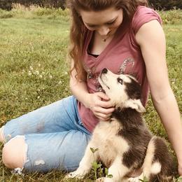 Pomsky and Siberian Husky Puppies from Kristie’s Husky Haven
