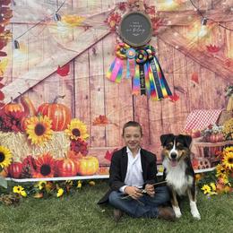 Australian Shepherd Puppies from WyoWinds Australian Shepherds
