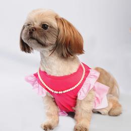 Fendi - Shih Tzu
