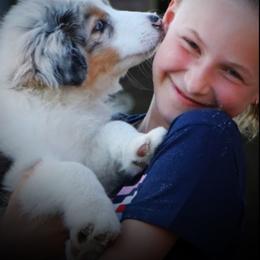 Australian Shepherd Puppies from Amazing Aussie’s