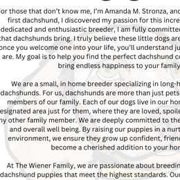 Dachshunds from The Wiener Family