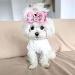 Coconut - Maltese