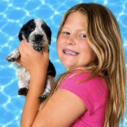 Pirate - Black and white male English Springer Spaniel puppy in Fort White, Florida from Thunderbird Springers