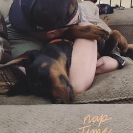 Doberman Pinscher Puppies from Defensive Dobermans