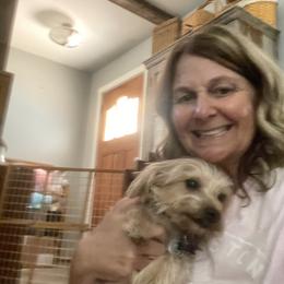 Shorkie All Grown Up from Roover's Oklahoma Shorkies