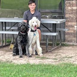 Aussiedoodles, Goldendoodles, Labradoodles, and Poodles from Hope House Doodles