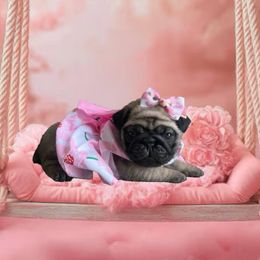 Tiana - Fawn female Pug puppy in Winter Haven, Florida from Precious Paws