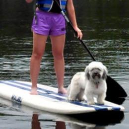 Havanese from RiverHill